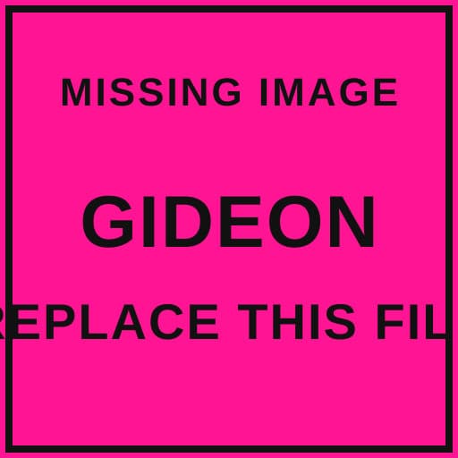 Gideon Drucker, CFP®, AIF®, ECA